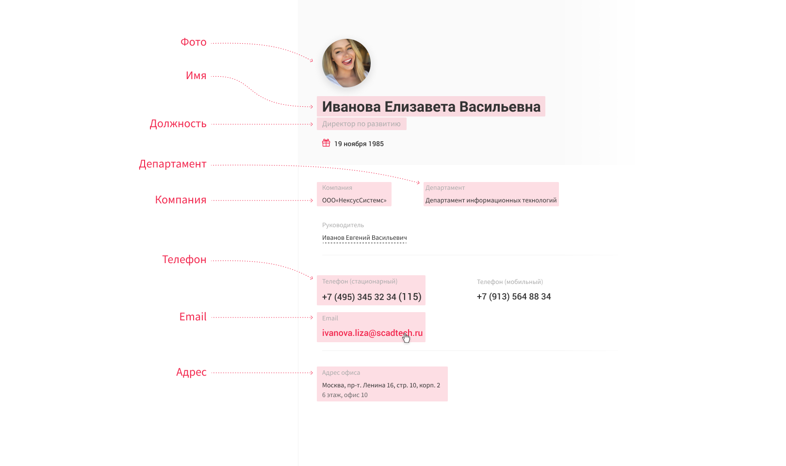 Кейс: Разработка корпоративного портала для развития внутренней культуры  СКАД тех | Creonit